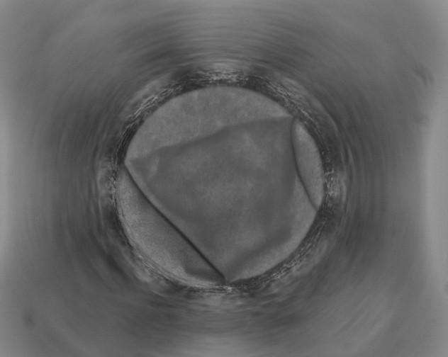 X0000112520916200909281013