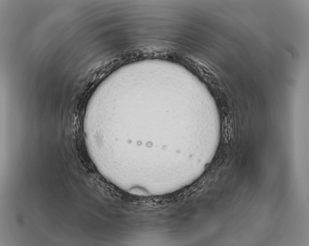 X0000112520917200909281013