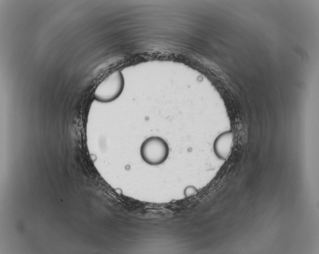 X0000112520918200909281013