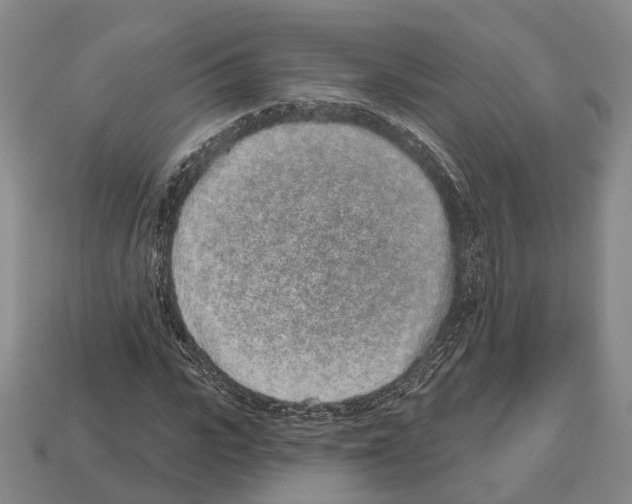 X0000112520919200909281013
