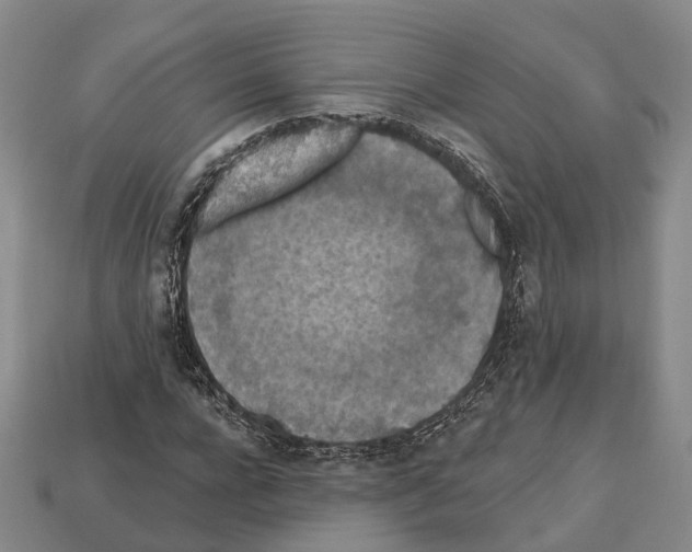 X0000112520920200909281013
