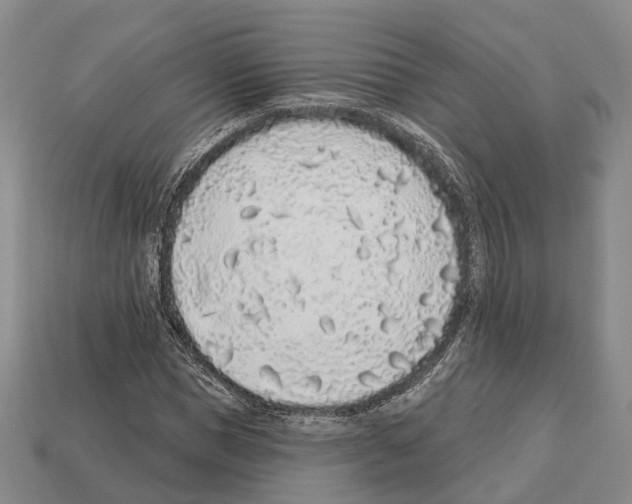 X0000112520921200909281013
