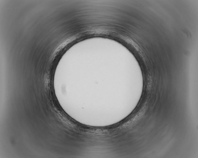 X0000112520922200909281013