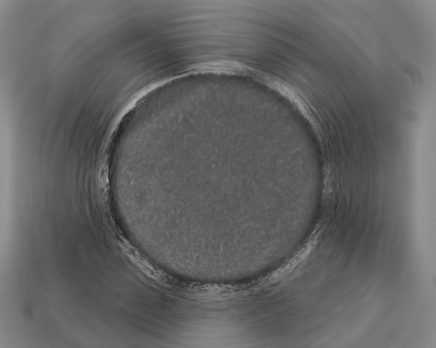X0000112520923200909281013