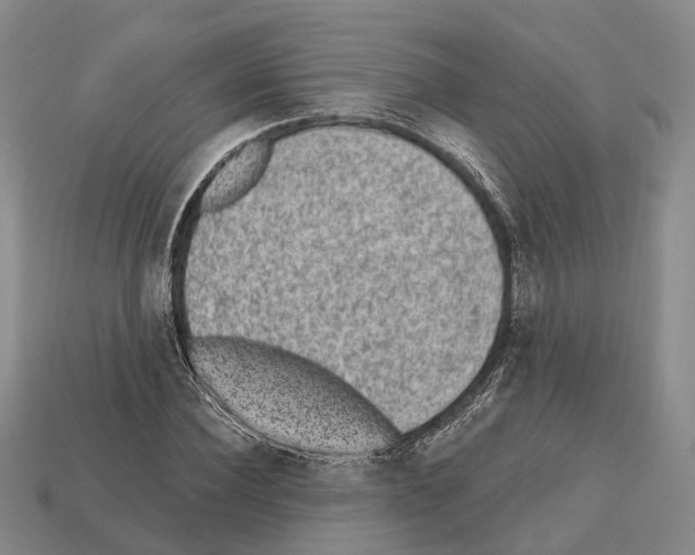 X0000112520924200909281013