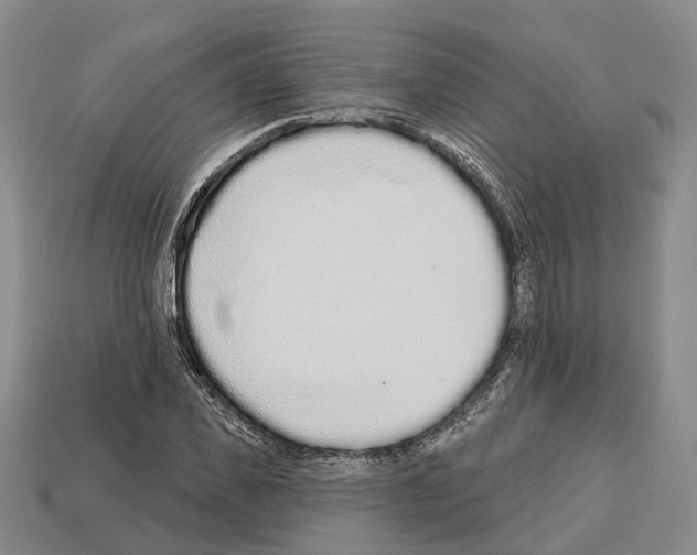 X0000112520925200909281013