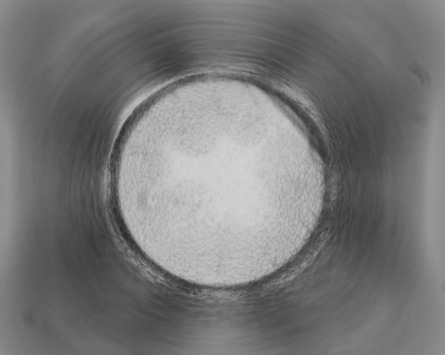 X0000112520928200909281014