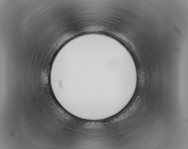 X0000112520929200909281014