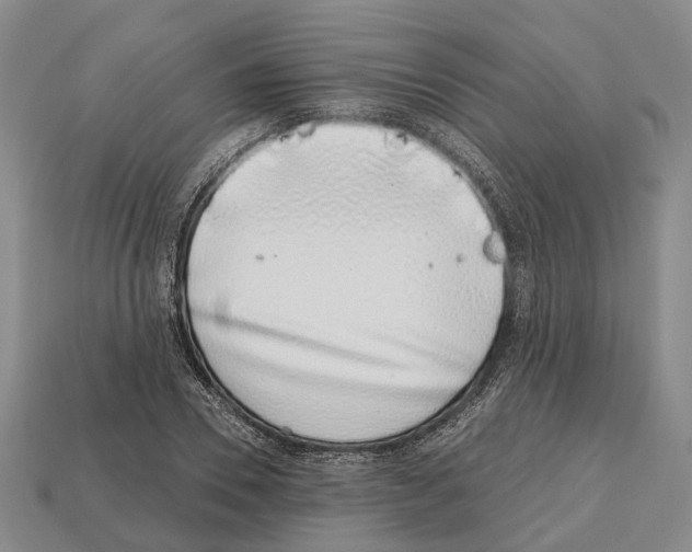 X0000112520930200909281014