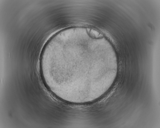 X0000112520932200909281014