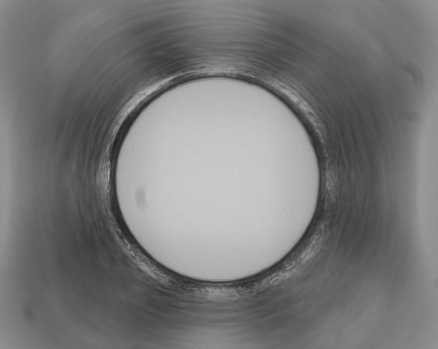 X0000112520933200909281014