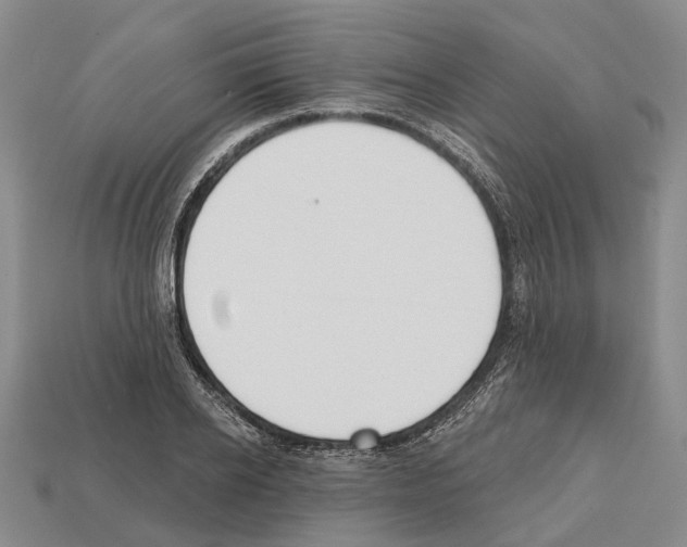 X0000112520934200909281014
