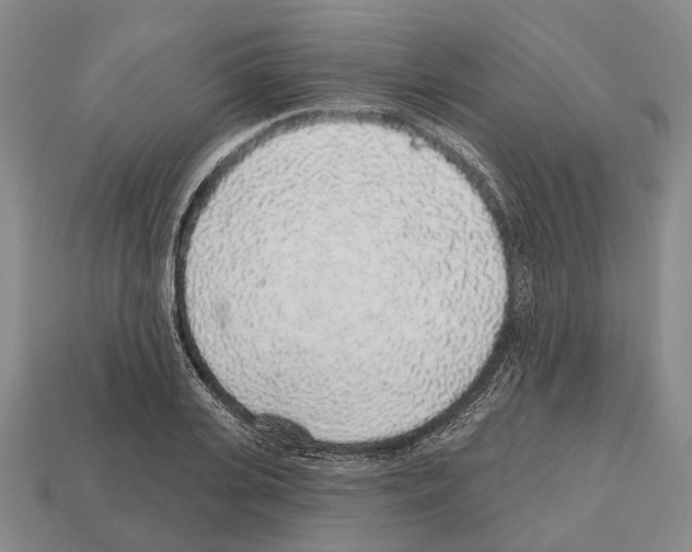 X0000112520935200909281014