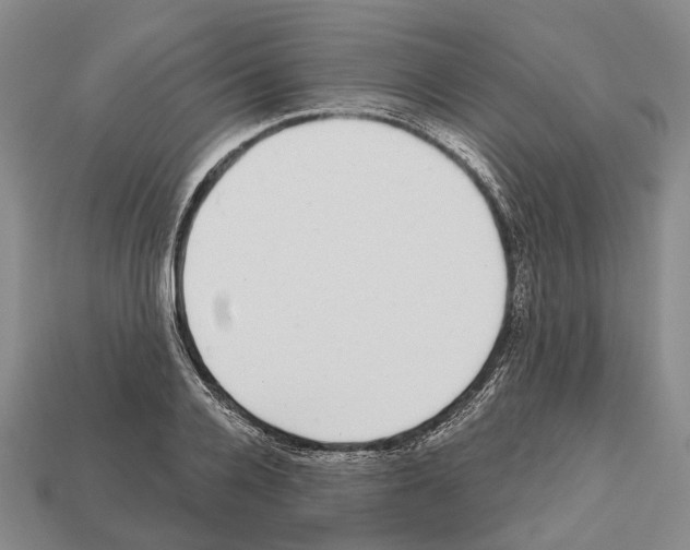 X0000112520936200909281014