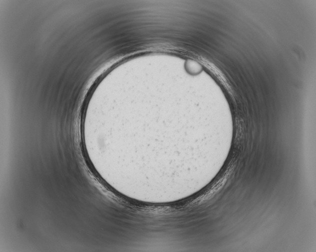 X0000112520939200909281014