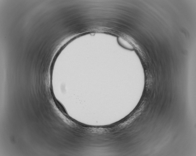 X0000112520940200909281014