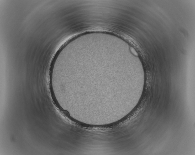 X0000112520942200909281014