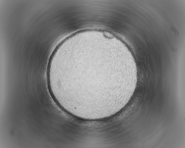 X0000112520943200909281014