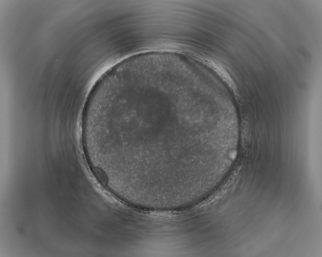 X0000112520944200909281014