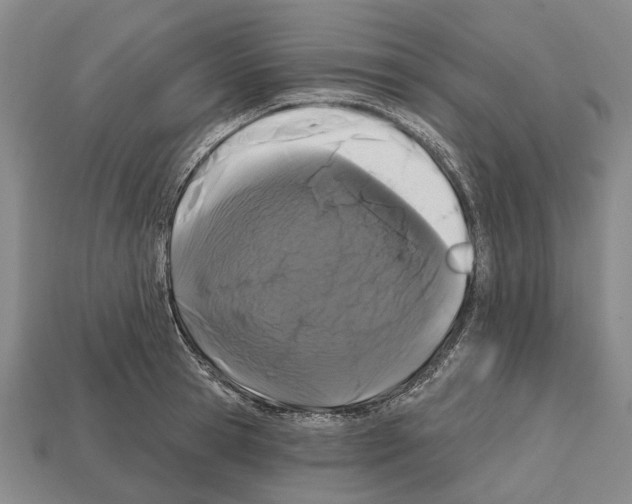 X0000112520945200909281014