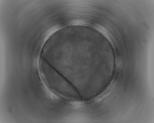 X0000112520946200909281014