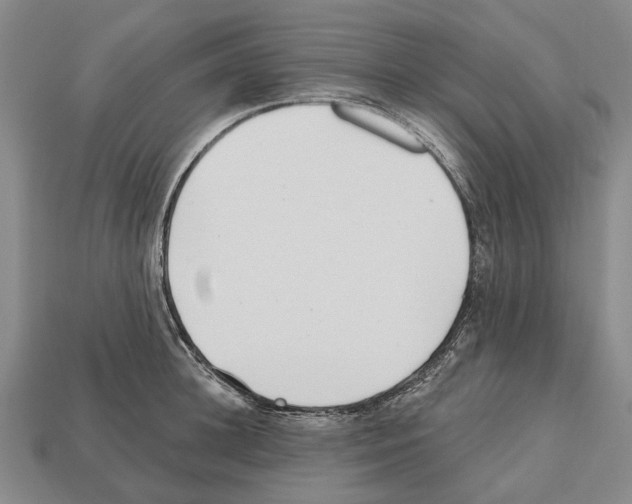 X0000112520948200909281014