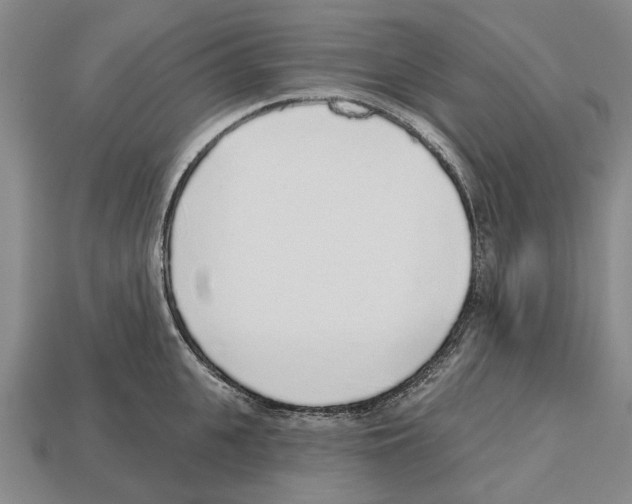 X0000112520951200909281014