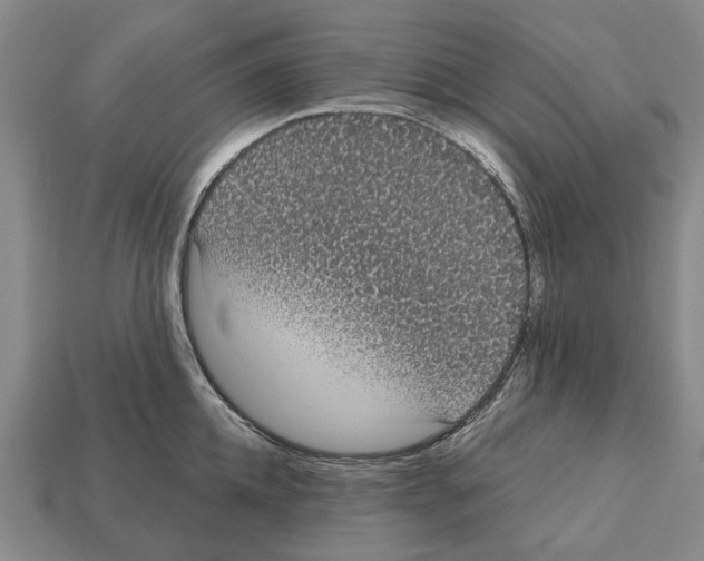 X0000112520952200909281014