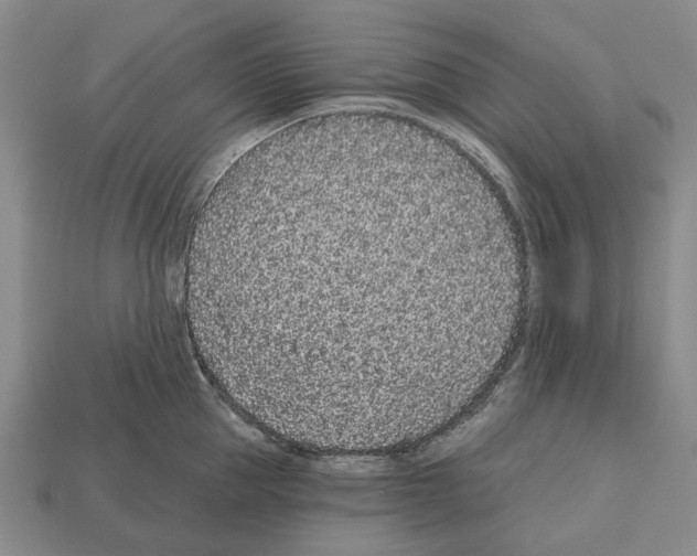 X0000112520953200909281014