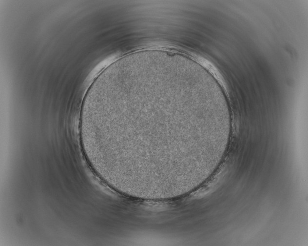 X0000112520954200909281014