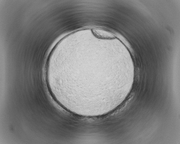 X0000112520955200909281014