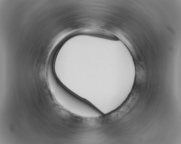 X0000112520956200909281014