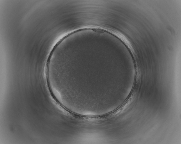 X0000112520958200909281014