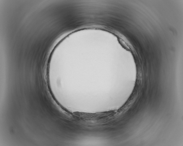 X0000112520959200909281014