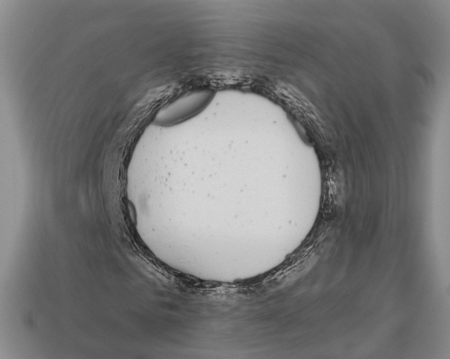 X0000112520961200909281013
