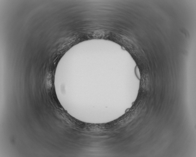 X0000112520962200909281013