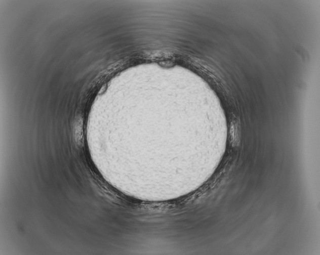 X0000112520963200909281013