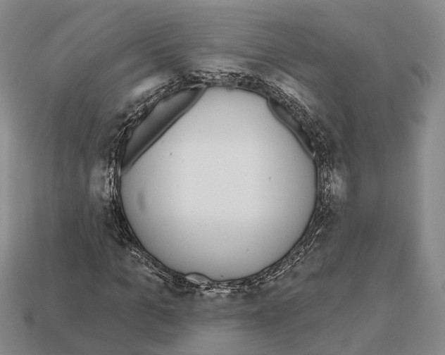 X0000112520965200909281013