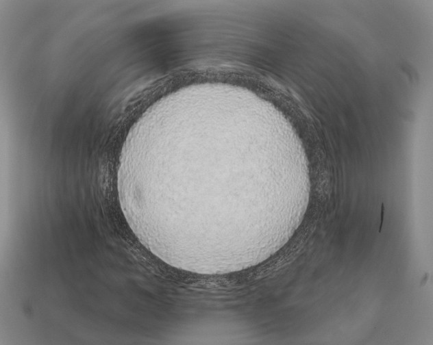 X0000112520966200909281013