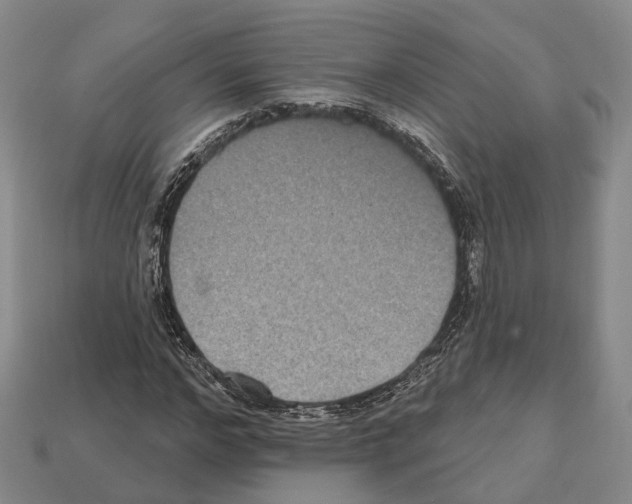 X0000112520968200909281013
