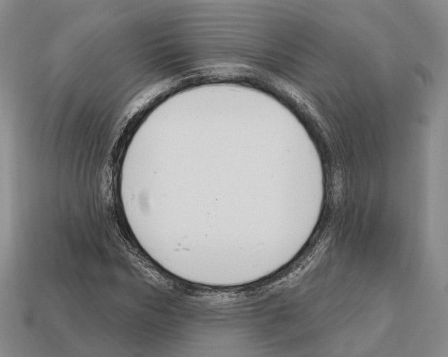 X0000112520970200909281013