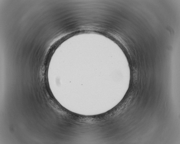 X0000112520971200909281013