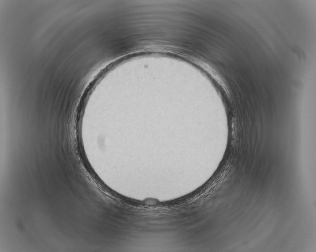 X0000112520972200909281013