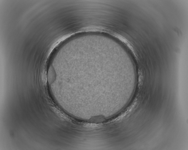 X0000112520973200909281013