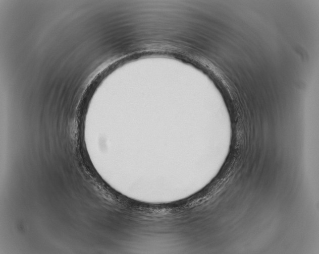 X0000112520975200909281013