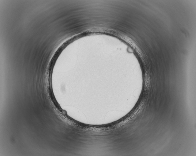 X0000112520976200909281013