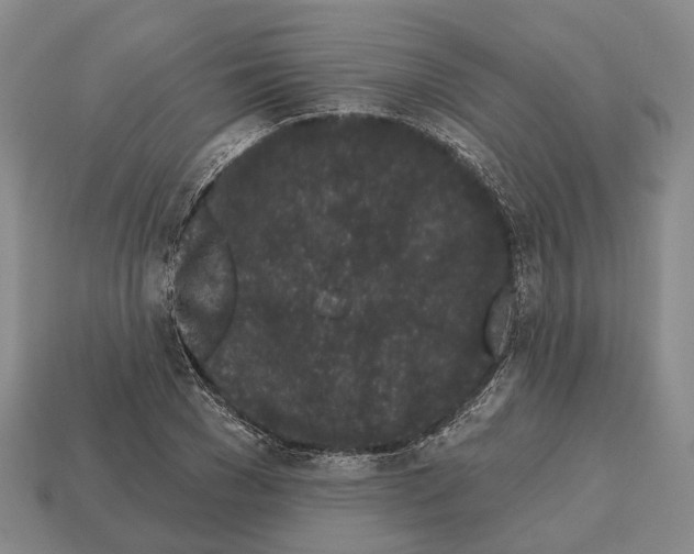 X0000112520977200909281013