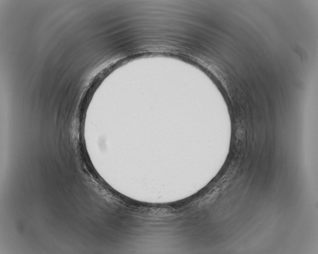 X0000112520979200909281013