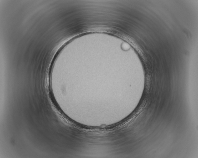 X0000112520980200909281013