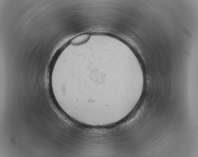 X0000112520981200909281013
